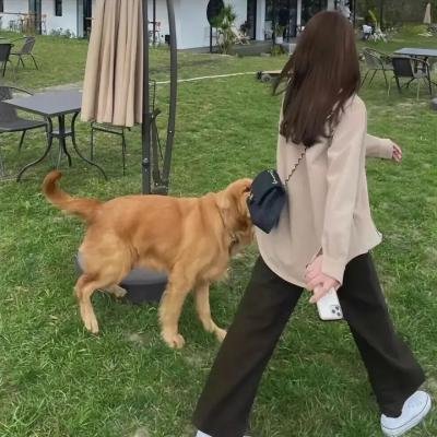 蚂蚁在燃烧